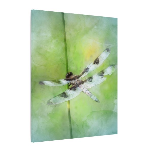 Dragonfly Balance - Image 66