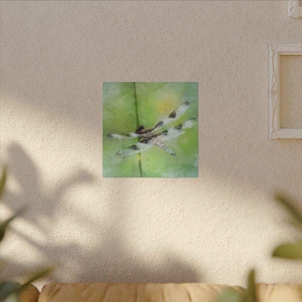 Dragonfly Balance - Image 31