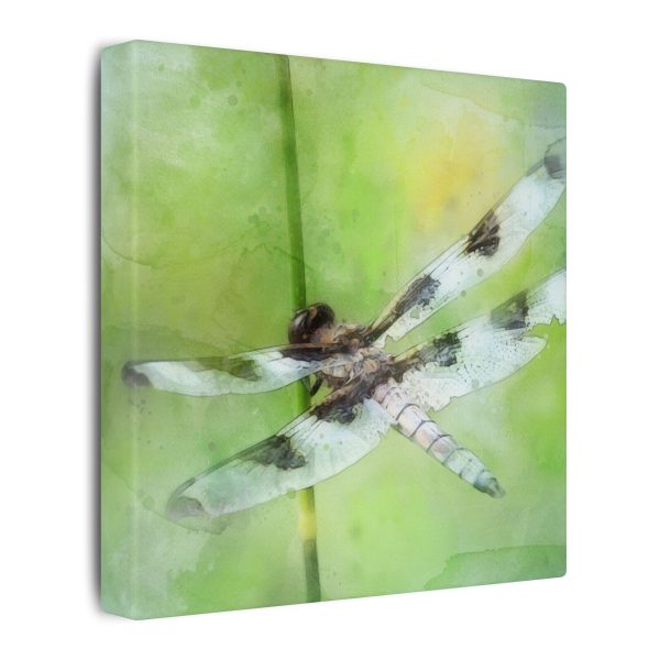 Dragonfly Balance - Image 50