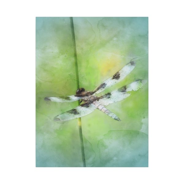 Dragonfly Balance - Image 25