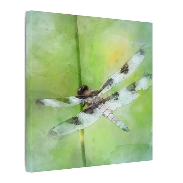 Dragonfly Balance - Image 58