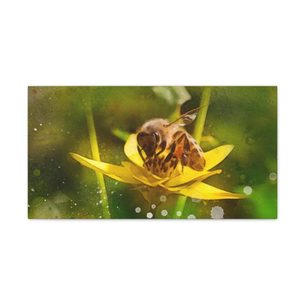 Pollen Collection - Image 17