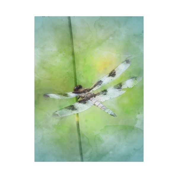 Dragonfly Balance - Image 81
