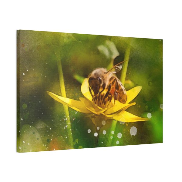 Pollen Collection - Image 14