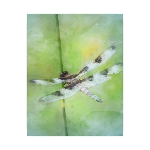 Dragonfly Balance - Image 5