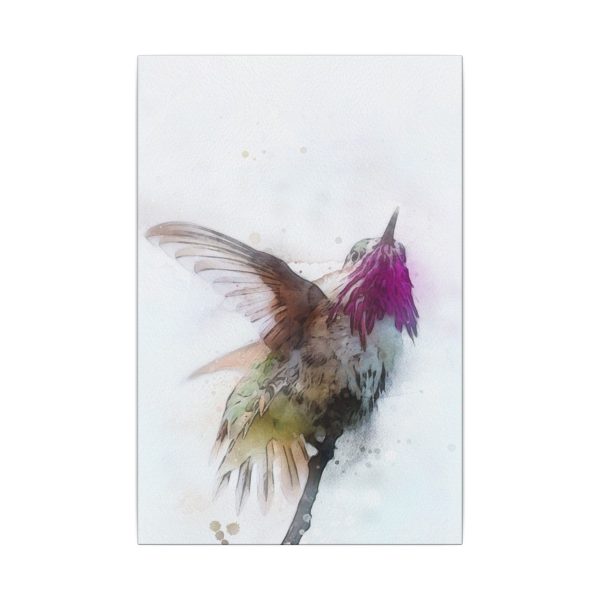 Hummingbird Dance - Image 25