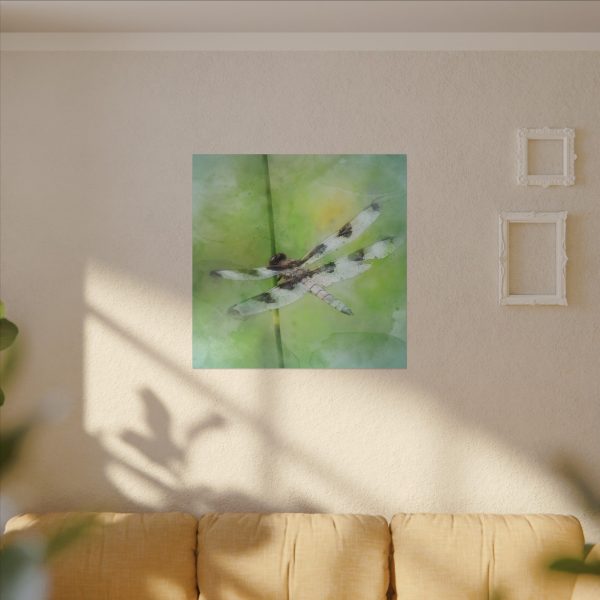 Dragonfly Balance - Image 79