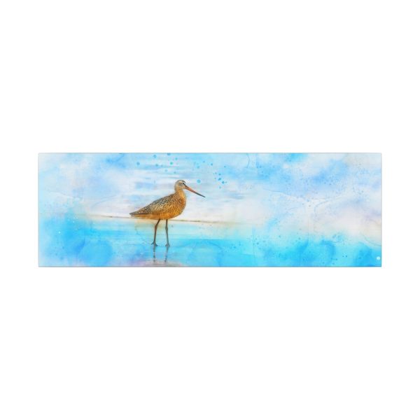 Oceanside Patience - Image 5