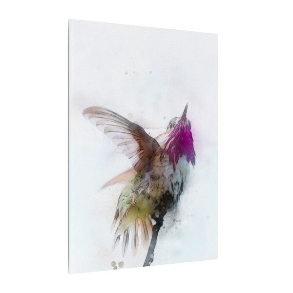 Hummingbird Dance - Image 18