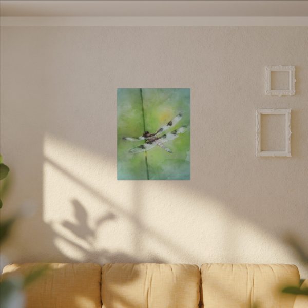 Dragonfly Balance - Image 47