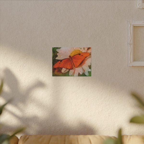 Winged Sunshine - Image 3