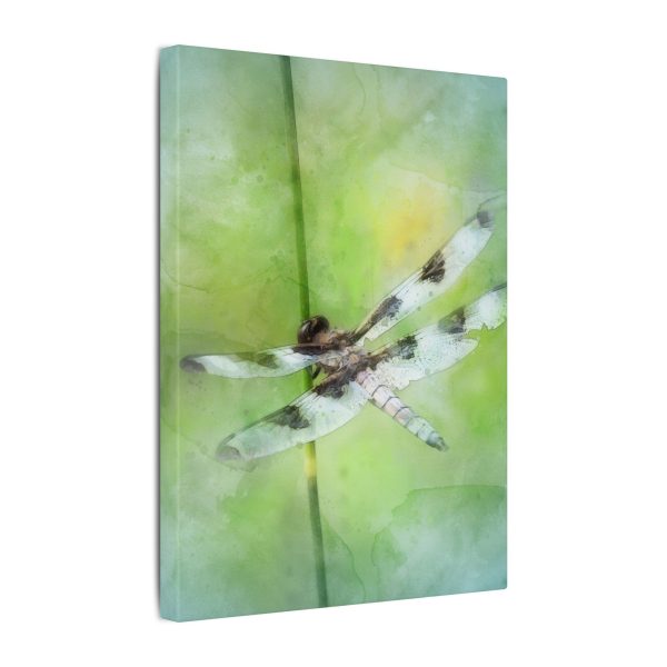 Dragonfly Balance - Image 2