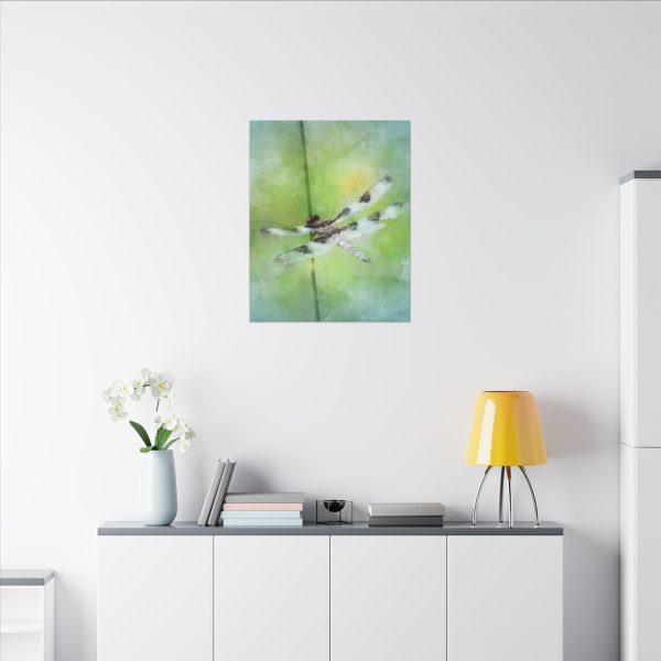 Dragonfly Balance - Image 48