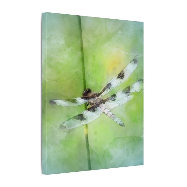Dragonfly Balance - Image 6