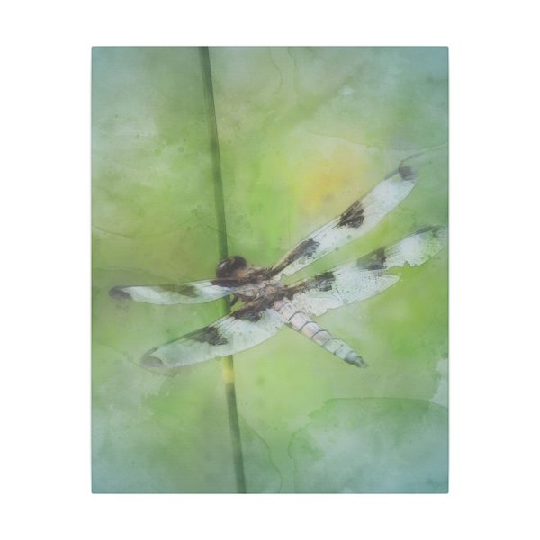 Dragonfly Balance - Image 13