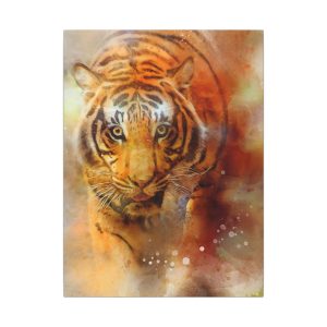 Stalking Tiger