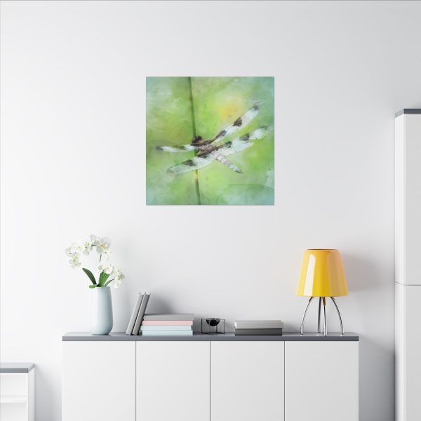 Dragonfly Balance - Image 76
