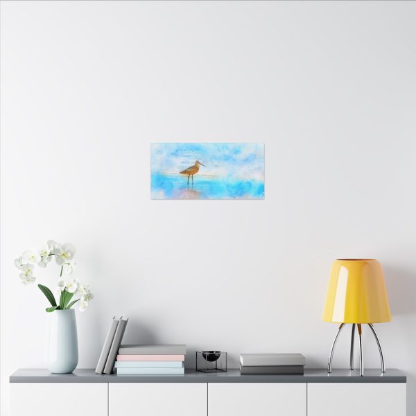 Oceanside Patience - Image 16