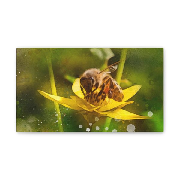 Pollen Collection - Image 5