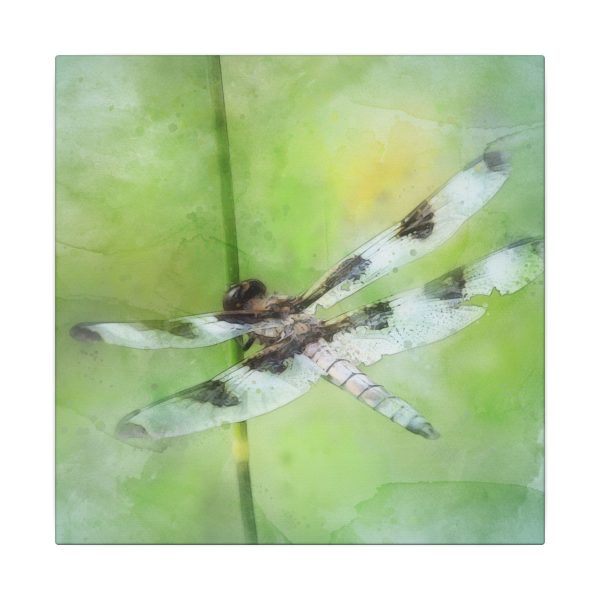 Dragonfly Balance - Image 57