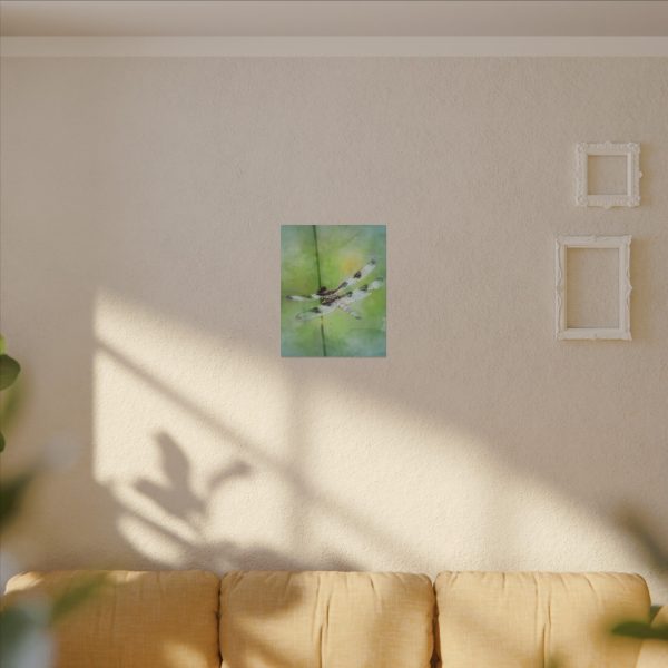 Dragonfly Balance - Image 15