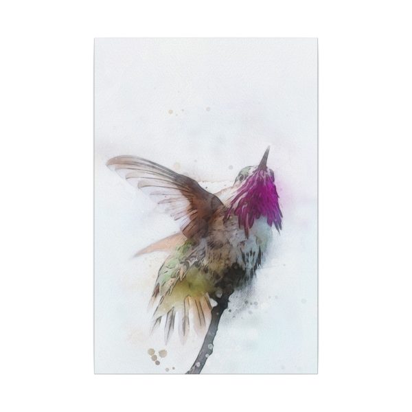 Hummingbird Dance - Image 5