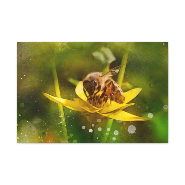 Pollen Collection - Image 21