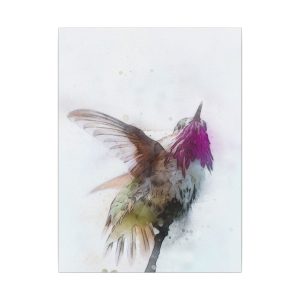 Hummingbird Dance