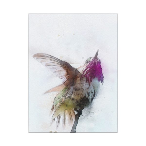 Hummingbird Dance