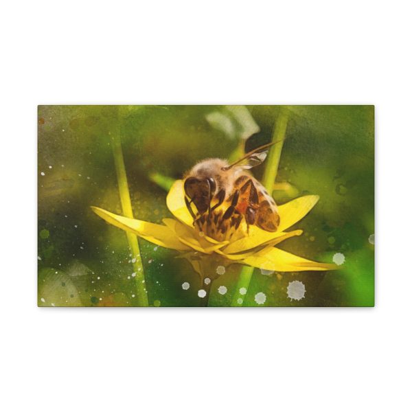 Pollen Collection - Image 9