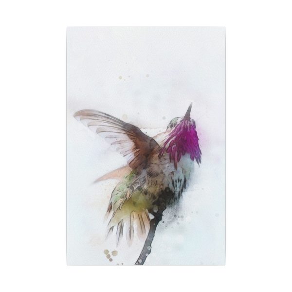 Hummingbird Dance - Image 29