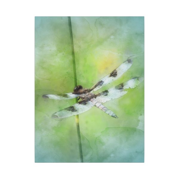 Dragonfly Balance - Image 21