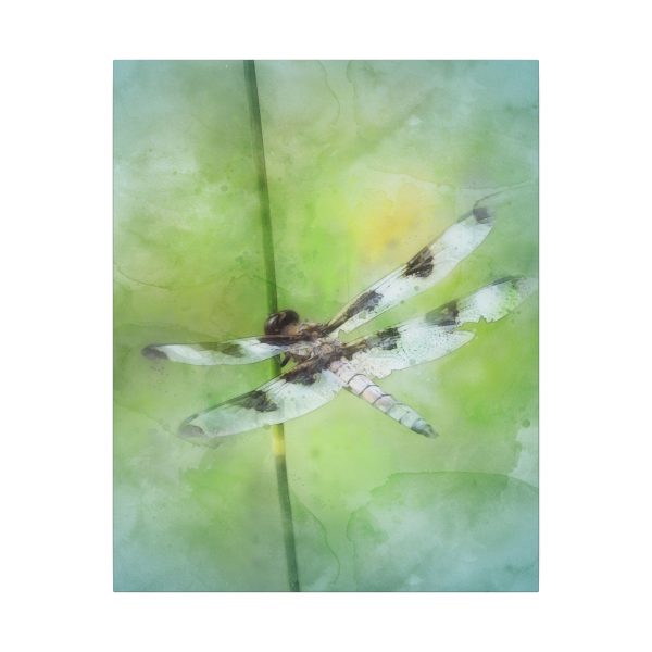 Dragonfly Balance - Image 45