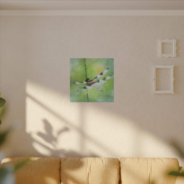 Dragonfly Balance - Image 35