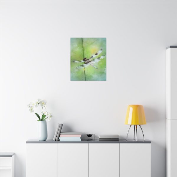 Dragonfly Balance - Image 68