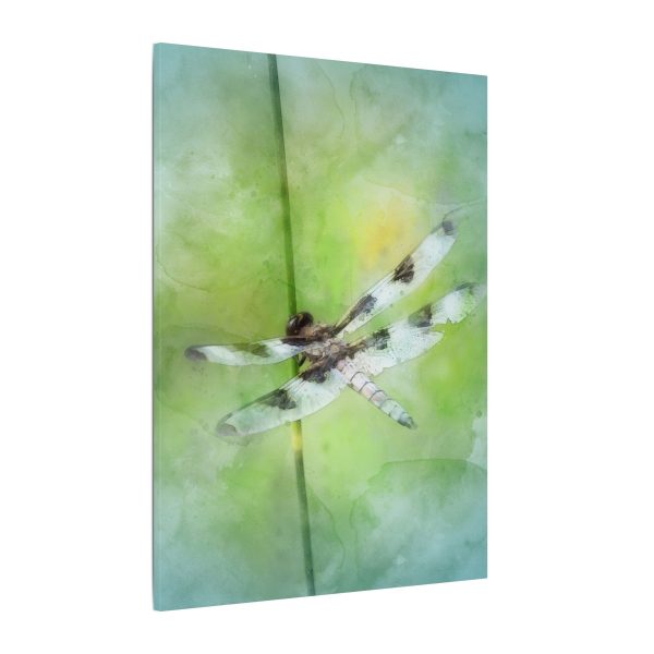Dragonfly Balance - Image 22
