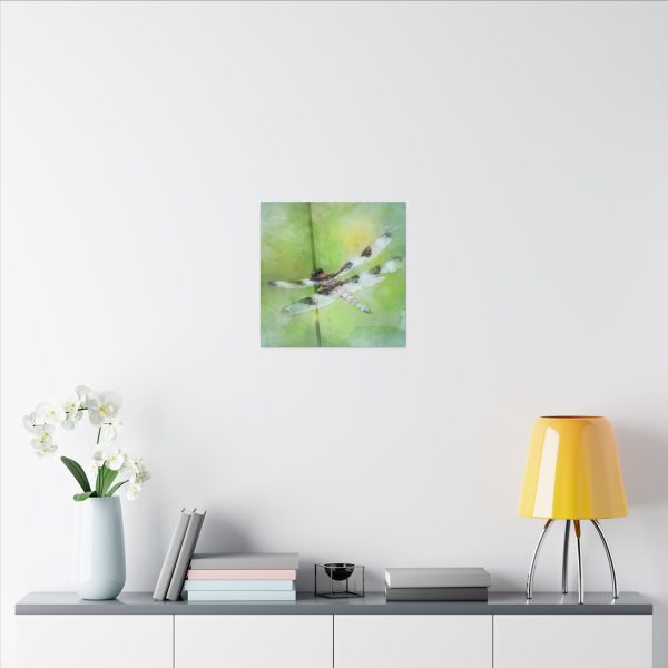Dragonfly Balance - Image 64