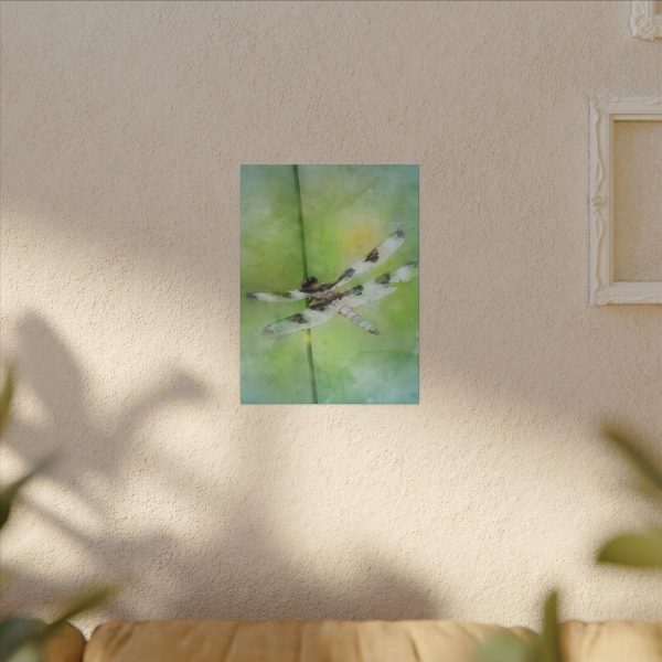 Dragonfly Balance - Image 11
