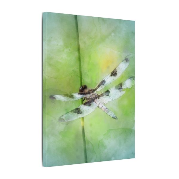 Dragonfly Balance - Image 10