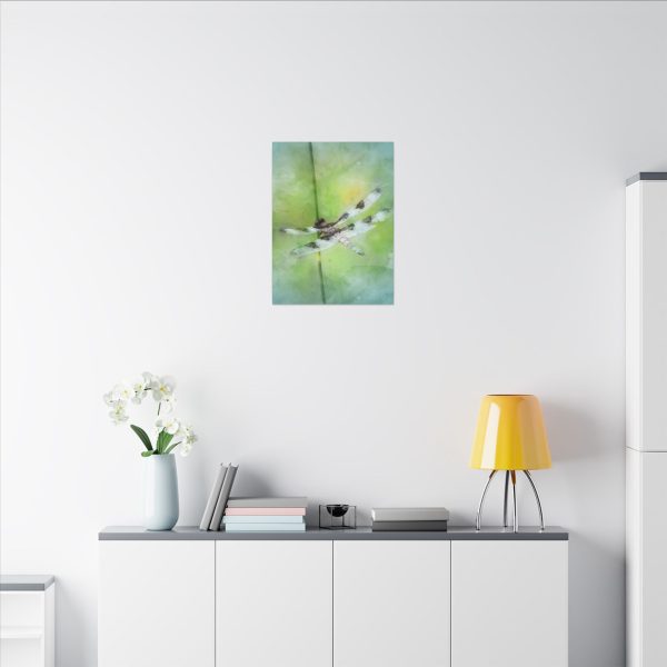 Dragonfly Balance - Image 20
