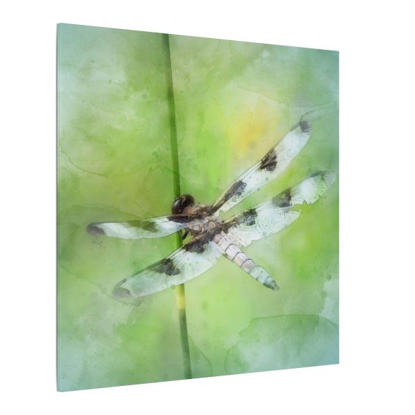 Dragonfly Balance - Image 78