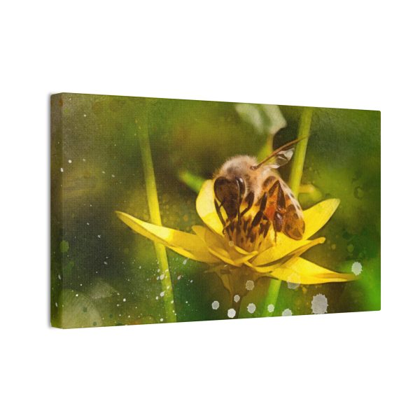 Pollen Collection - Image 6