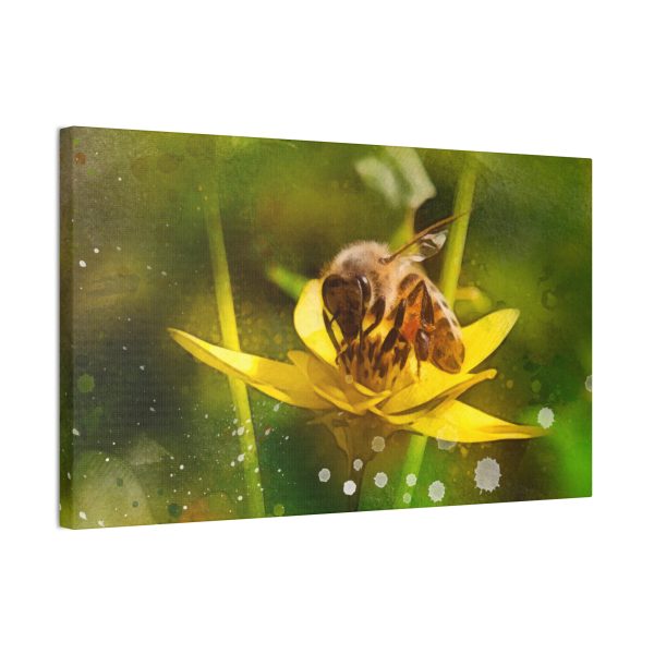 Pollen Collection - Image 10