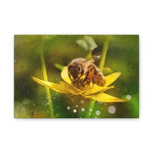 Pollen Collection