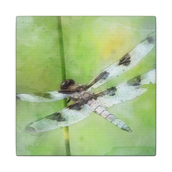 Dragonfly Balance - Image 49