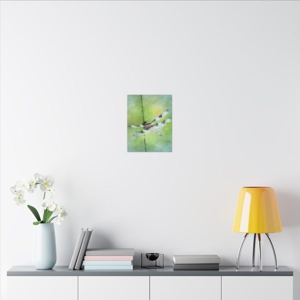 Dragonfly Balance - Image 8