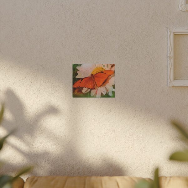 Winged Sunshine - Image 43