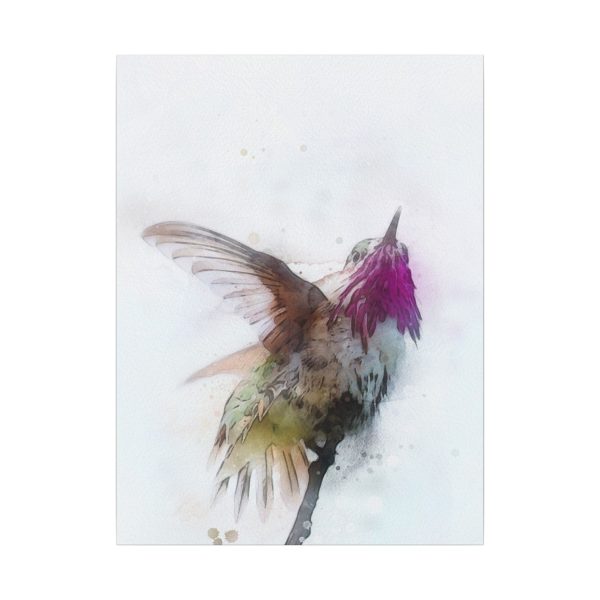 Hummingbird Dance - Image 17