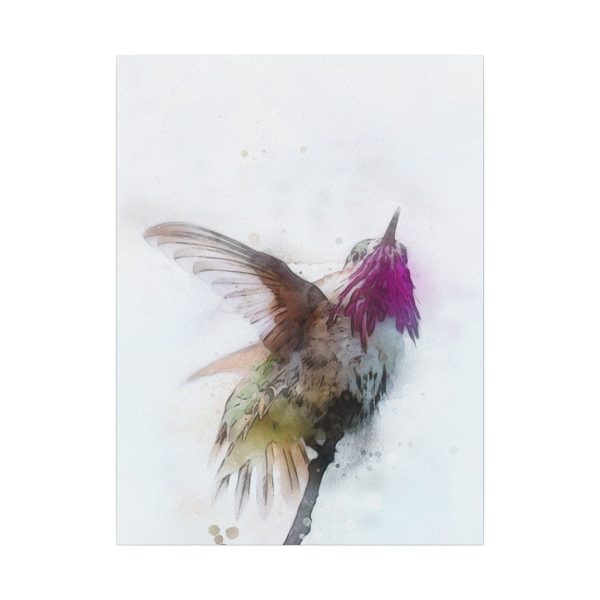 Hummingbird Dance - Image 41