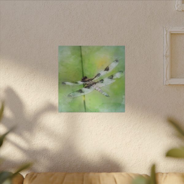 Dragonfly Balance - Image 63